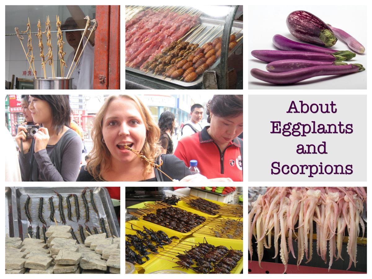 About Eggplants and Scorpions – My Experience in China 6