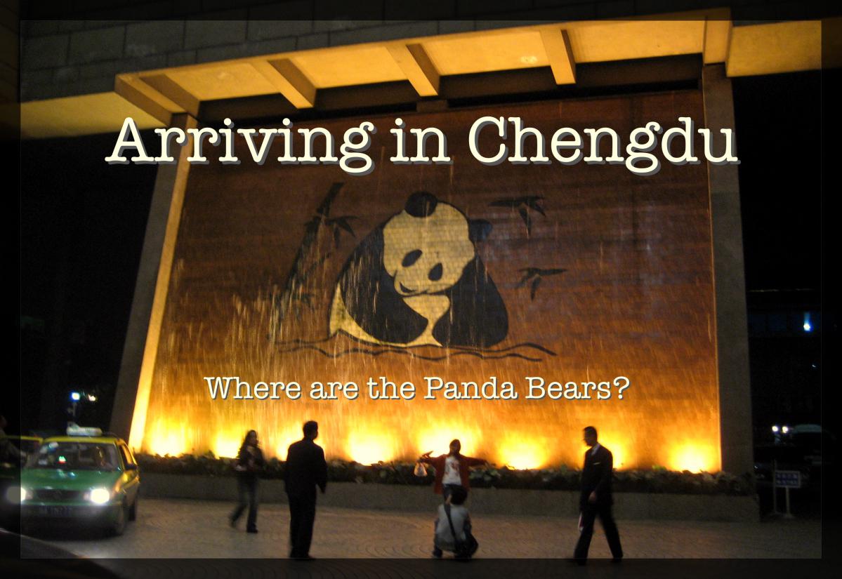 Chengdu, Sichuan Province – My Experience in China 8
