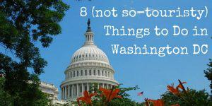 8 (Not so Touristy) Things To Do in Washington DC