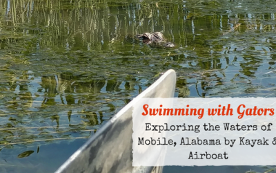 Discovering the Mobile-Tensaw River Delta: Kayaking vs Airboat Ride