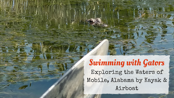 Discovering the Mobile-Tensaw River Delta: Kayaking vs Airboat Ride